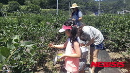영천 보현산 별빛 찾아 떠나는 한여름의 농촌여행