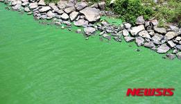 광주환경연합 4대강 승촌보·죽산보 하천 환경악화 지속