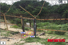 DMZ 폭발사고 현장