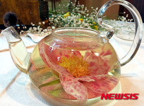 휘닉스파크, 22일 대한민국 산야초 꽃차대전