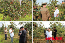 北 김정은 제1비서, 대동강 과수종합농장 현지지도