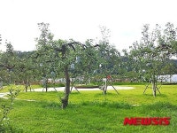 유기농엑스포장 온갖 과일·동물 다 모인다