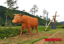 [뉴시스 앵글]유기농엑스포장의 쟁기질 하는 황소