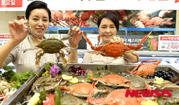롯데마트에서 햇 꽃게 사세요