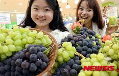 안심하고 먹을 수 있는 유기농 수입포도