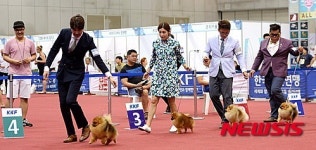 서울 FCI 국제 도그쇼