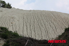 무차별 파헤쳐지는 산림