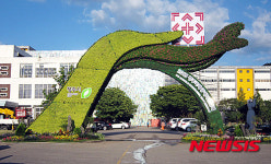 청주시, 가을맞이 도심 꽃단장 나선다