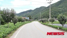 진천군 무궁화 가로수길 전국 최우수