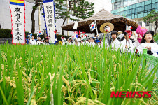 도시 아이들의 전통 농경체험