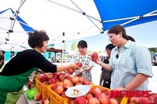 농촌진흥청 농산물 직거래 장터서 제수용품 살펴보는 시민들