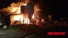 불이 난 강원양양 돼지농장