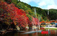 태백시, 제6회 철암단풍축제 개최