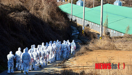 AI로 벼랑 끝 내몰려…나주서 오리농장주 음독