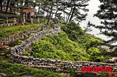 [그곳에 가면] 섬 전체가 정원인 보령 죽도 ‘상화원’