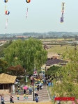 가자, 김제지평선축제