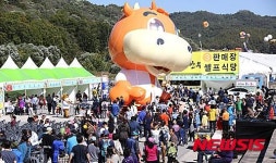 횡성한우축제