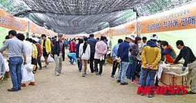 증평인삼골축제 인삼·홍삼포크 판매장 북적