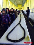 초대형 김밥 만들기 도전하는 고흥군