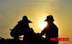 황금빛 노을속에서도 바쁜 농부의 손길