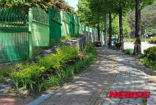 천안시 명품가로숲길 조성