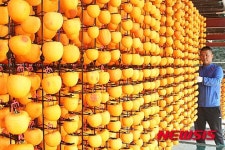 곶감 말리는 영동