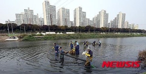 광진구, 중랑천 정화 활동