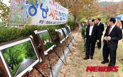창녕 비사벌문화제 사진 전시
