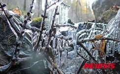 태백산에 첫 얼음