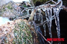 태백산에 첫 얼음