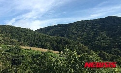 제천에 2018년까지 국립 치유의 숲 조성