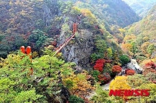 강천산 단풍