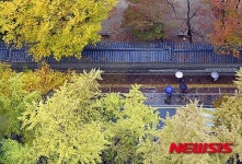 가을비 내리는 정동길