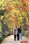 대전 유성구, 탄동천변 낙엽거리 운영