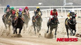 경마 비교적 공정하다 …마사회, 이용자 설문조사