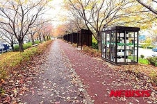 사상구 벚꽃명소 낙동제방 공원화사업 완료