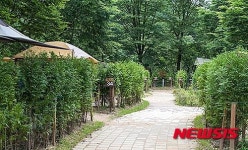 친환경 캠핑장에 원주 금대에코힐링 캠핑장 선정