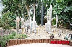 아름다운 선인장으로 가득찬 밀양시 실증 시범포