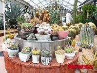 밀양농업기술센터, 선인장 온실 학습체험장 인기