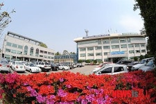 고성군, 서울대학교 치과진료소 운영