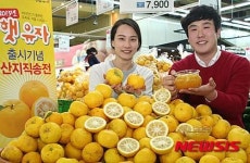 농협유통, 햇유자 출시기념 산지직송전