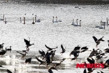 창녕 우포늪, 한국 관광100선 이벤트 최고 득표