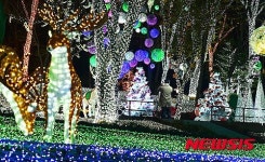 화려한 조명 아래 추억 남기는 시민들