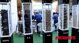 2015목재산업박람회 열려