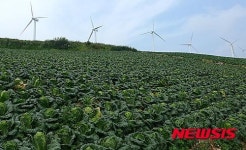 강원도, 농산물 수급안정 종합관리시스템 구축