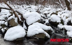 태백산 당골천에도 눈꽃 가득