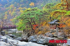 한류문화콘텐츠 고운 최치원의 발자취