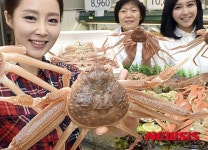 제철 국산 대게 맛보세요