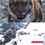 [초점]히말라야·대호·스타워즈, 영화 극성수기 승자는?