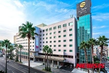 [나침반]카지노는 외국인만, 숙박은 한국인도…제주 썬 호텔 & 카지노